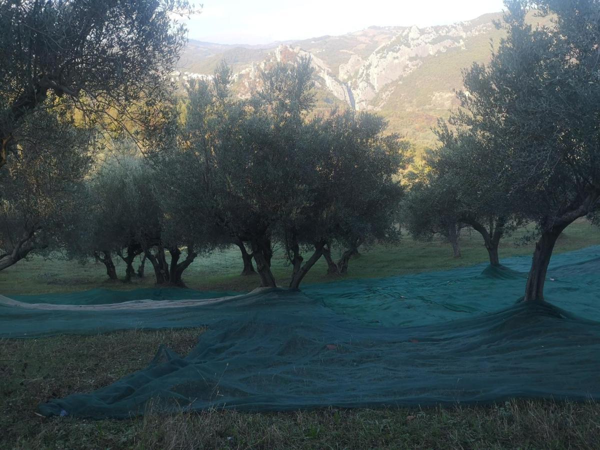 Agriturismo Olimpo Villa Santa Maria  Buitenkant foto