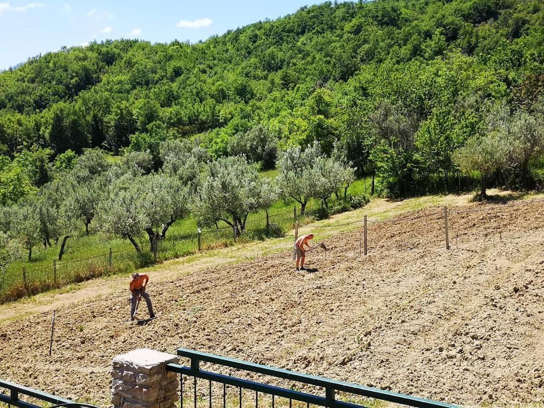 Agriturismo Olimpo Villa Santa Maria  Buitenkant foto