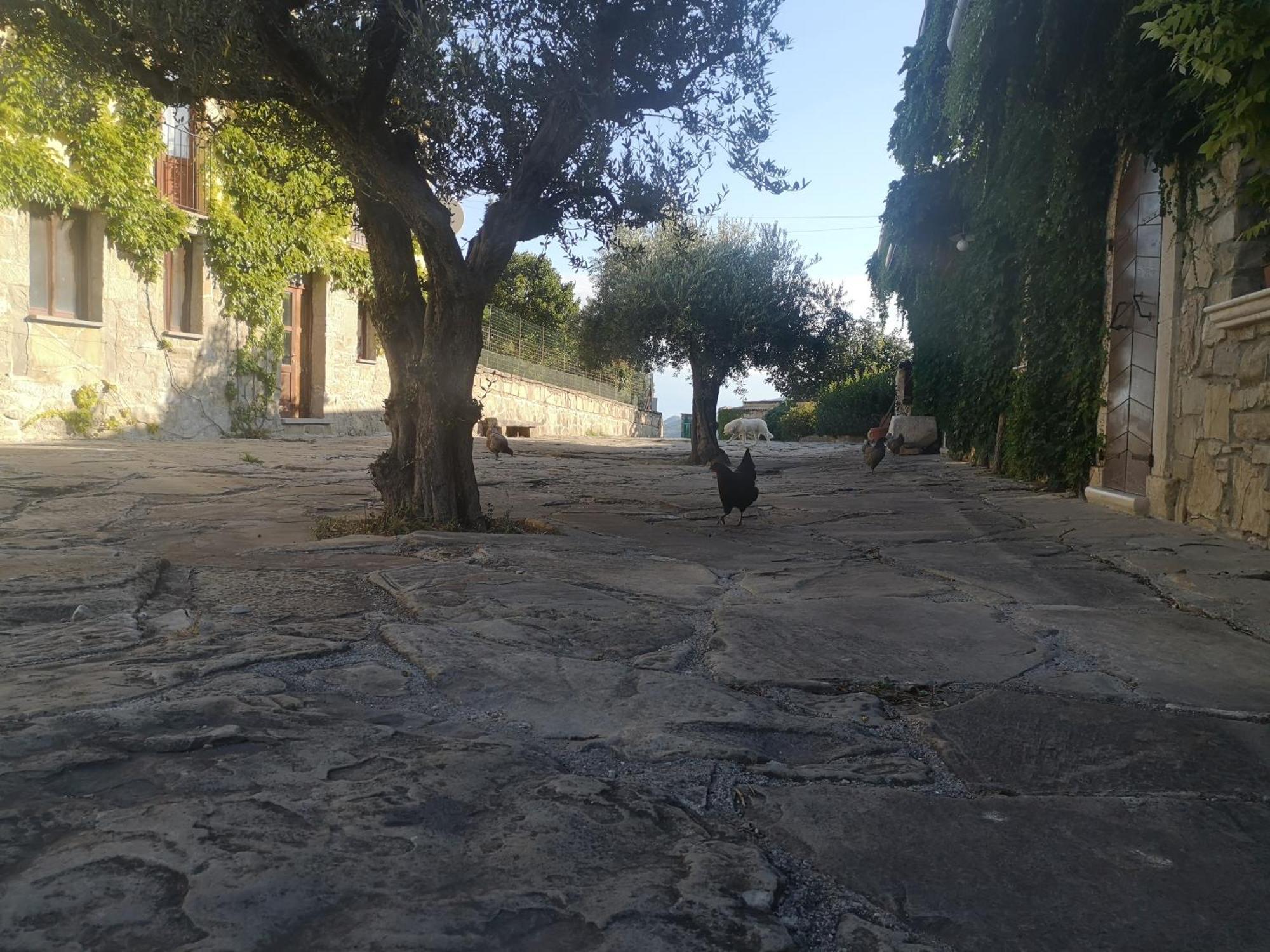 Agriturismo Olimpo Villa Santa Maria  Buitenkant foto